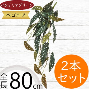 xSjA }N[^ tFCNO[  lC A  CeAO[ lHϗtA  lH ϗtA CeA IuWF A[gO[ t[AW