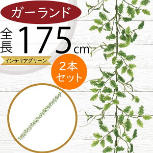 K[h  lC  A tFCNO[ CeAO[ lHϗtA  A[eBtBVt[ fR[V fBXvC t ǖʑ V t