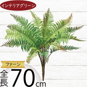 ^}V_ tFCNO[  CeAO[ A lHϗtA ϗtA  A[eBtBVt[ t ԍ ʃV_ ltsX t[AWg fB