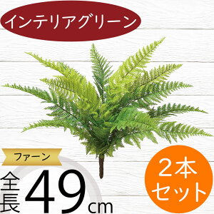 ^}V_ tFCNO[  CeAO[ A lHϗtA ϗtA  A[eBtBVt[ t ԍ ʃV_ ltsX t[AWg fBXv