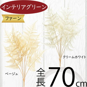 ^}V_ tFCNO[  CeAO[ A lHϗtA ϗtA  A[eBtBVt[ t t[AWg fBXvC   gsJ