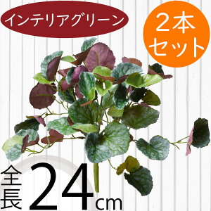 tFCNO[  lC CeAO[ A lHϗtA  lH A[gvc A[gO[ ϗtA ChAO[ CeA IuWF  ԍ t 