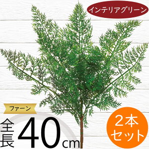 tFCNO[  CeAO[ A lHϗtA ϗtA  lH A[eBtBVt[ t ԍ t[AWg fBXvC   g