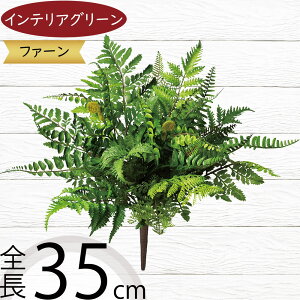 tFCNO[  CeAO[ A lHϗtA ϗtA  lH A[eBtBVt[ t ԍ t[AWg fBXvC   g