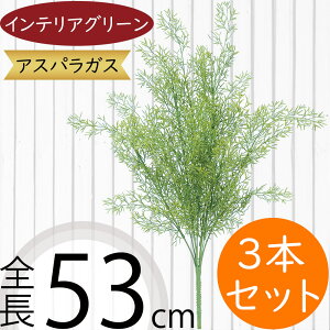 tFCNO[  lC CeAO[ A lHϗtA  lH A[gvc A[gO[ ϗtA ChAO[ CeA IuWF  ԍ t 