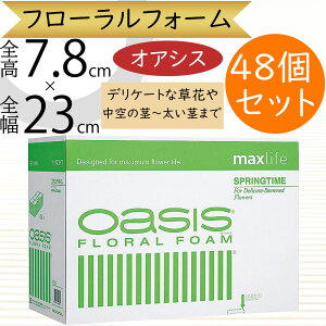 IAVX X|W z  lC  ԗp tH[ XvO^C Δ t[tH[   AWg ԍ  y x[X ԗ fP[gȑ 