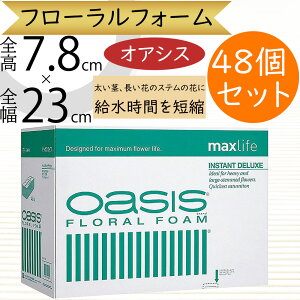 IAVX X|W z  lC  ԗp tH[ CX^gfbNX Δ ubN t[tH[ t[  t[AWg  y x[X 