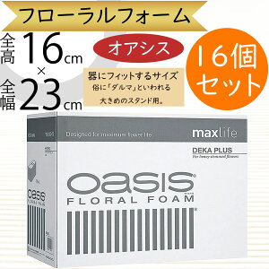 IAVX X|W z  lC  ԗp tH[ fJvX ubN t[tH[ t[  t[AWg _}  X^hp ԍ  