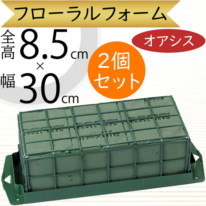 楽天市場】オアシス スポンジ 吸水 給水 人気 おすすめ 生花用 