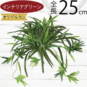 tFCNO[ Id  lC CeAO[ A lHϗtA  lH A[gvc A[gO[ ϗtA ChAO[ CeA IuWF 