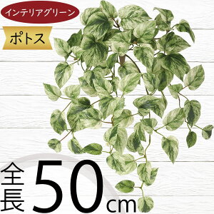 tFCNO[  lC CeAO[ A lHϗtA  lH A[gvc A[gO[ ϗtA ChAO[ CeA IuWF ԍ t i`