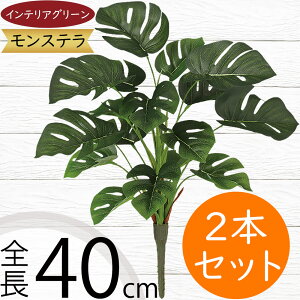 tFCNO[ Xe ϗtA lC  A CeAO[  lHϗtA lH t IuWF A[gO[ t[AWg ԍ t {