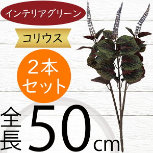 tFCNO[ lC  A ϗtA CeAO[ lHϗtA  A[gO[ lH ԍ t CeA IuWF t[AWg fBXvC R