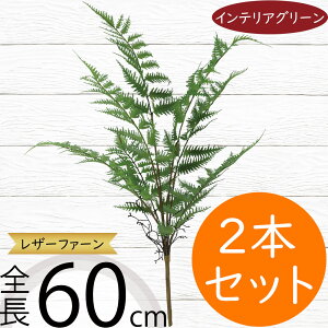 tFCNO[  CeAO[ A lHϗtA ϗtA  lH A[eBtBVt[ t ԍ t[AWg fBXvC   g