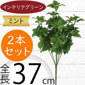 ~g n[u  tFCNO[ CeAO[ lC A  lHϗtA lH A[gvc ϗtA t ԍ A[gO[ IuWF Ƌ t[A