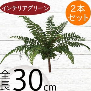 ^}V_ tFCNO[  CeAO[ A lHϗtA ϗtA  A[eBtBVt[ t ԍ ʃV_ ltsX t[AWg fBXv