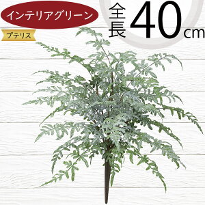 tFCNO[  lC CeAO[ A lHϗtA  lH A[gvc A[gO[ ϗtA ChAO[ CeA IuWF ԍ t  i