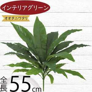 tFCNO[ II^j^  CeAO[ A lHϗtA ϗtA  lH A[eBtBVt[ ԍ t[AWg fBXvC 