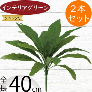 tFCNO[ ^j^  CeAO[ A lHϗtA ϗtA  lH A[eBtBVt[ ԍ t t[AWg fBXvC  