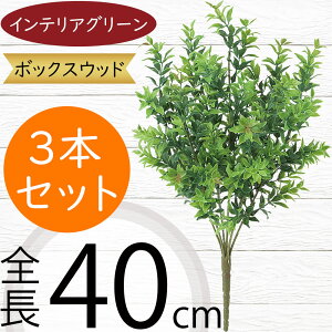 tFCNO[  lC CeAO[ A lHϗtA  lH A[gvc A[gO[ ϗtA ChAO[ CeA IuWF  ԍ  t