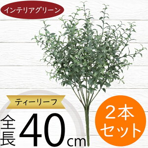 tFCNO[  lC CeAO[ A lHϗtA  lH A[gvc A[gO[ ϗtA ChAO[ CeA IuWF ԍ t i`