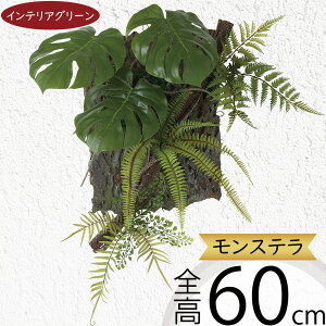 tFCNO[ Xe fR o[Nx[X ϗtA lC  A CeAO[  lHϗtA lH t IuWF A[gO[ t[AWg 