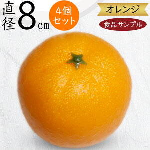 HiTv IW A lC tFCNt[h ʕ t[c  ݂  D] AWg fBXvC e[uR[fBl[g  Hi͌^  X HX X[p