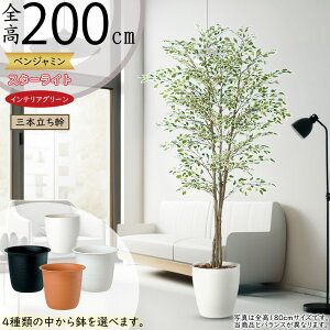 tFCNO[ ^  lC xW~ tBJX xW~i CeAO[ ϗtA A lHϗtA  lH A[gvc A[gO[ CeA I