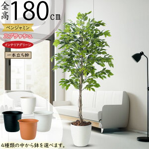 tFCNO[ ^  lC xW~ tBJX xW~i CeAO[ ϗtA lHϗtA  lH A[gO[ CeA IuWF  Mtg 