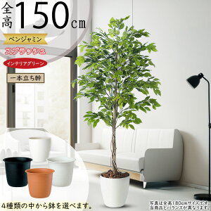 tFCNO[  lC xW~ tBJX xW~i CeAO[ ϗtA lHϗtA  lH A[gO[ CeA IuWF  Mtg i 