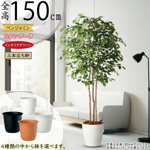 tFCNO[  lC xW~ tBJX xW~i CeAO[ ϗtA lHϗtA  lH A[gO[ CeA IuWF  Mtg i 