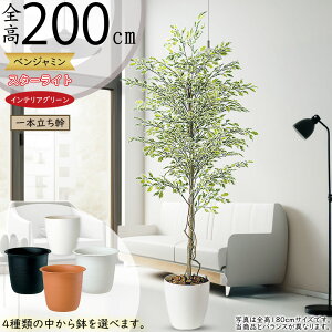 tFCNO[ ^  lC xW~ tBJX xW~i CeAO[ ϗtA lHϗtA  lH A[gO[ CeA IuWF  Mtg 