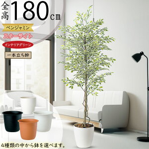 tFCNO[ ^  lC xW~ tBJX xW~i CeAO[ ϗtA lHϗtA  lH A[gO[ CeA IuWF  Mtg 