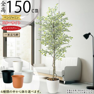 tFCNO[  lC xW~ tBJX xW~i CeAO[ ϗtA lHϗtA  lH A[gO[ CeA IuWF  Mtg i 