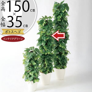 |gX x wS ^ tFCNO[  lC CeAO[ A lHϗtA ϗtA lH  ^[ CeA IuWF Ƌ   rO Q It