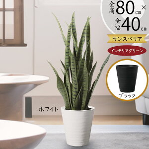 tFCNO[ A TZxA TXxA  lC A  CeAO[ lHϗtA lH  A[gO[ ϗtA  CeA Mtg 