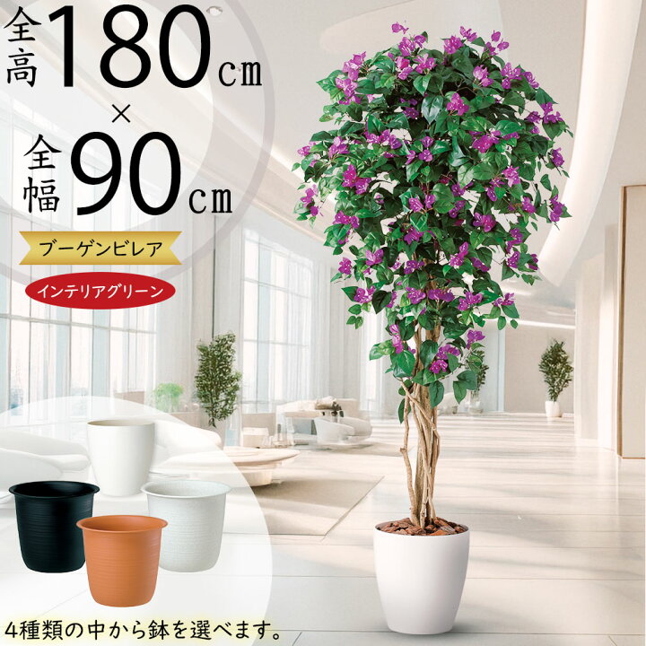 楽天市場】ブーゲンビリア ブーゲンビレア フェイクグリーン 大型 