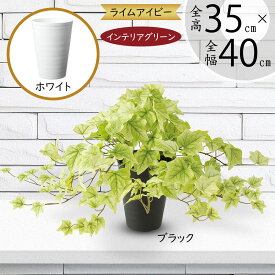 フェイクグリーン ライム アイビー 人気 おしゃれ おすすめ リアル インテリアグリーン 造花 人工観葉植物 アートグリーン 緑 インテリア オブジェ 人工樹木 本物そっくり 鉢付き お洒落 ギフト プレゼント 室内 テーブルサイズ 卓上サイズ 小型 ヘデラ ナチュラル 全高35cm