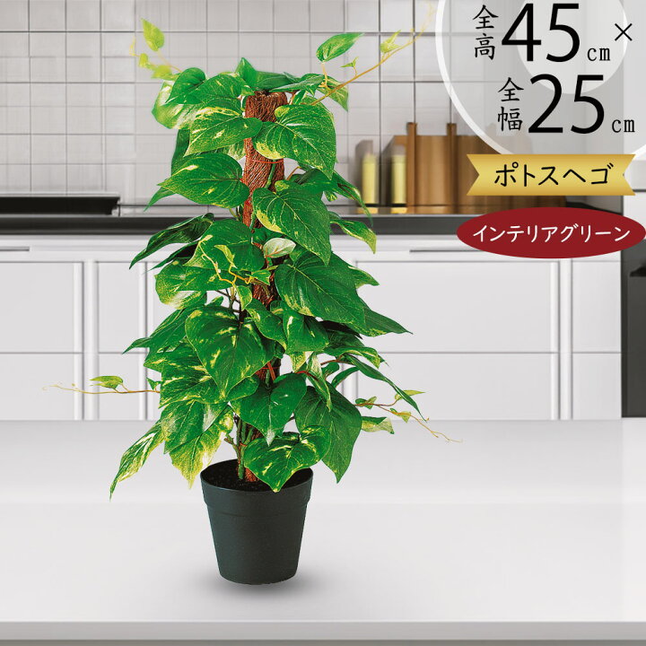 楽天市場】フェイクグリーン おしゃれ ポトス 観葉植物 支柱 ヘゴ 
