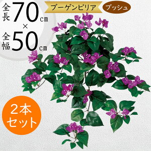 u[QrA u[QrA  tFCNO[ p[v  lC  A CeAO[ ϗtA lHϗt lH AWg { gsJ 