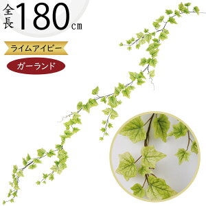 K[h  lC  tFCNO[ CeAO[ lHϗtA  A[eBtBVt[ A fR[V fBXvC t ǖʑ V t