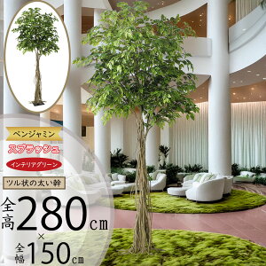 tFCNO[ ^  lC xW~ tBJX xW~i CeAO[ ϗtA lHϗtA  lH  A[gO[ CeA IuWF  Mtg 