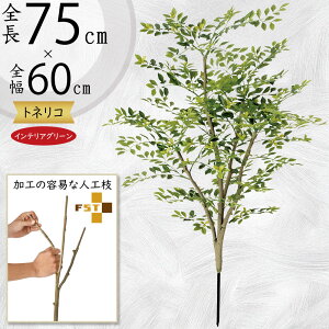 tFCNO[  glR V}glR ϗtA A lC CeAO[  lHϗtA lH  A[gvc A[gO[ CeA  fB