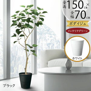 tFCNO[  lC A ϗtA CeAO[ lHϗtA  lH CeA IuWF A[gO[ ^ 傫 傫  Ch{_CW Mt