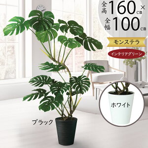 tFCNO[ Xe  lC  A CeAO[ ^ 傫 傫 lHϗtA lH  CeA IuWF { ChAO[  