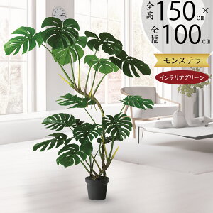 tFCNO[ Xe  lC  A CeAO[ ^ 傫 傫 lHϗtA lH  CeA IuWF { ChAO[  