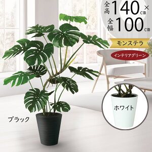 tFCNO[ Xe  lC  A CeAO[ ^ ~hTCY lHϗtA lH  CeA IuWF { ChAO[  