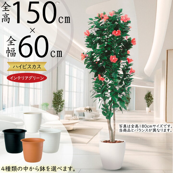 300円OFFクーポン 造花 人工観葉植物 屋外のどの木 屋内植物用プランター ミニ偽の植物 フェイクグリーン デスクトップ装飾品 プラスチック製の木の 装飾 シミュレーション盆栽松 模造盆栽飾り 小さなフェイク植物 ポット付き 家 オフィス 卓上装飾 shopcp 模擬草 家の ... 装飾用の造花 造花鉢植え装飾 人工造花植物 デスクトップ装飾 家の装飾用 人工グリーン植物 造花植物