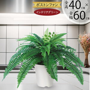 tFCNO[  lC A  CeAO[ lHϗtA   CeA IuWF A[gO[ {  t e[u TCY Mt