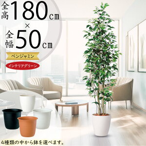 tFCNO[ ^  lC xW~ tBJX xW~i CeAO[ ϗtA lHϗtA  lH A[gO[ CeA IuWF  Mtg 